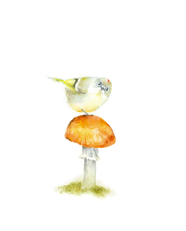 Ruby-crowned Kinglet / goldcrest / firecrest on a mushroom original watercolour  painting by Christy Obalek 